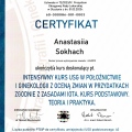 Powiększ obraz: certificate 3