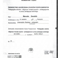Powiększ obraz: certificate 11
