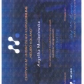 Powiększ obraz: certificate 10