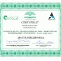 Powiększ obraz: certificate 10
