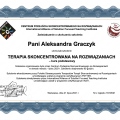 Powiększ obraz: certificate 8
