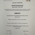 Powiększ obraz: certificate 2