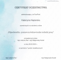 Powiększ obraz: certificate 8
