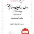 Powiększ obraz: certificate 2