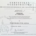 Powiększ obraz: certificate 3