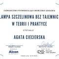 Powiększ obraz: certificate 4