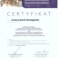 Powiększ obraz: certificate 19