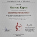 Powiększ obraz: certificate 16