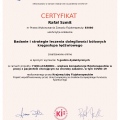 Powiększ obraz: certificate 5