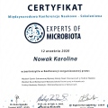 Powiększ obraz: certificate 2