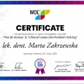 Powiększ obraz: certificate 13