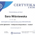 Powiększ obraz: certificate 3