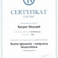 Powiększ obraz: certificate 2