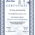 Powiększ obraz: certificate 2