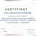 Powiększ obraz: certificate 8