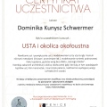 Powiększ obraz: certificate 9