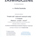 Powiększ obraz: certificate 42