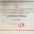 Powiększ obraz: certificate 13