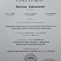 Powiększ obraz: certificate 19