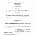 Powiększ obraz: certificate 3