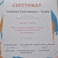 Powiększ obraz: certificate 7