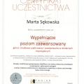 Powiększ obraz: certificate 8