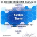 Powiększ obraz: certificate 4