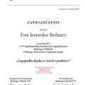 Powiększ obraz: certificate 28