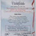 Powiększ obraz: certificate 13