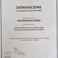 Powiększ obraz: certificate 8