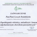 Powiększ obraz: certificate 5