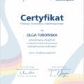 Powiększ obraz: certificate 2