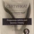 Powiększ obraz: certificate 2