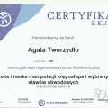Powiększ obraz: certificate 7