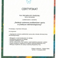 Powiększ obraz: certificate 2