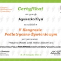 Powiększ obraz: certificate 6