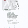 Powiększ obraz: certificate 6