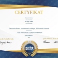 Powiększ obraz: certificate 5