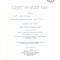 Powiększ obraz: certificate 3