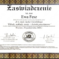 Powiększ obraz: certificate 9