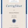 Powiększ obraz: certificate 1