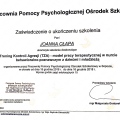 Powiększ obraz: certificate 5