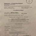 Powiększ obraz: certificate 4