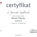 Powiększ obraz: certificate 21