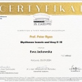 Powiększ obraz: certificate 1