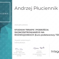 Powiększ obraz: certificate 4