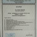 Powiększ obraz: certificate 1