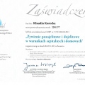 Powiększ obraz: certificate 13