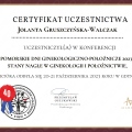 Powiększ obraz: certificate 19