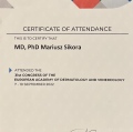 Powiększ obraz: certificate 26